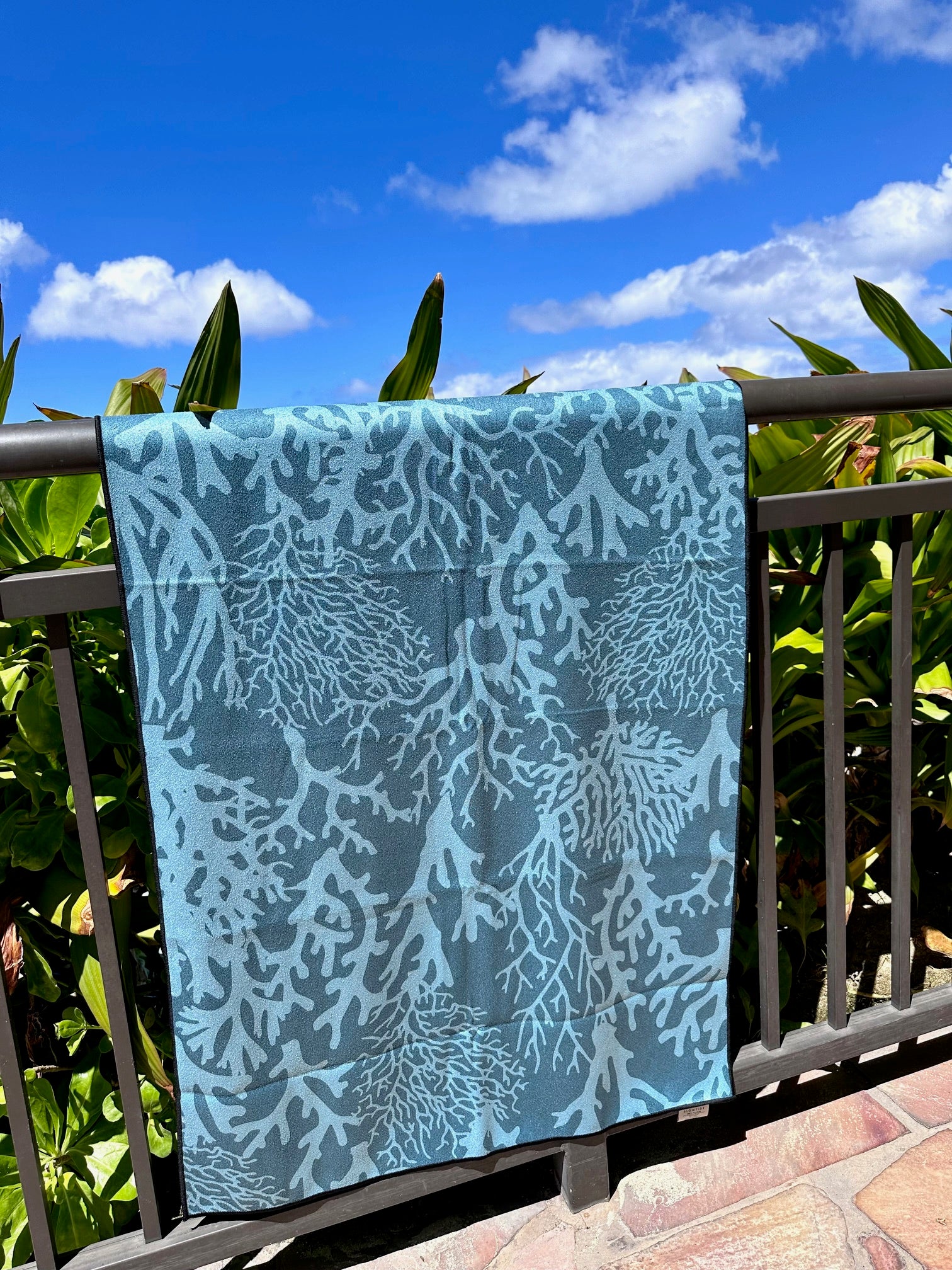 杏山カズサ　ダイドー当選品タオル Beach Towel | LeaLea Market