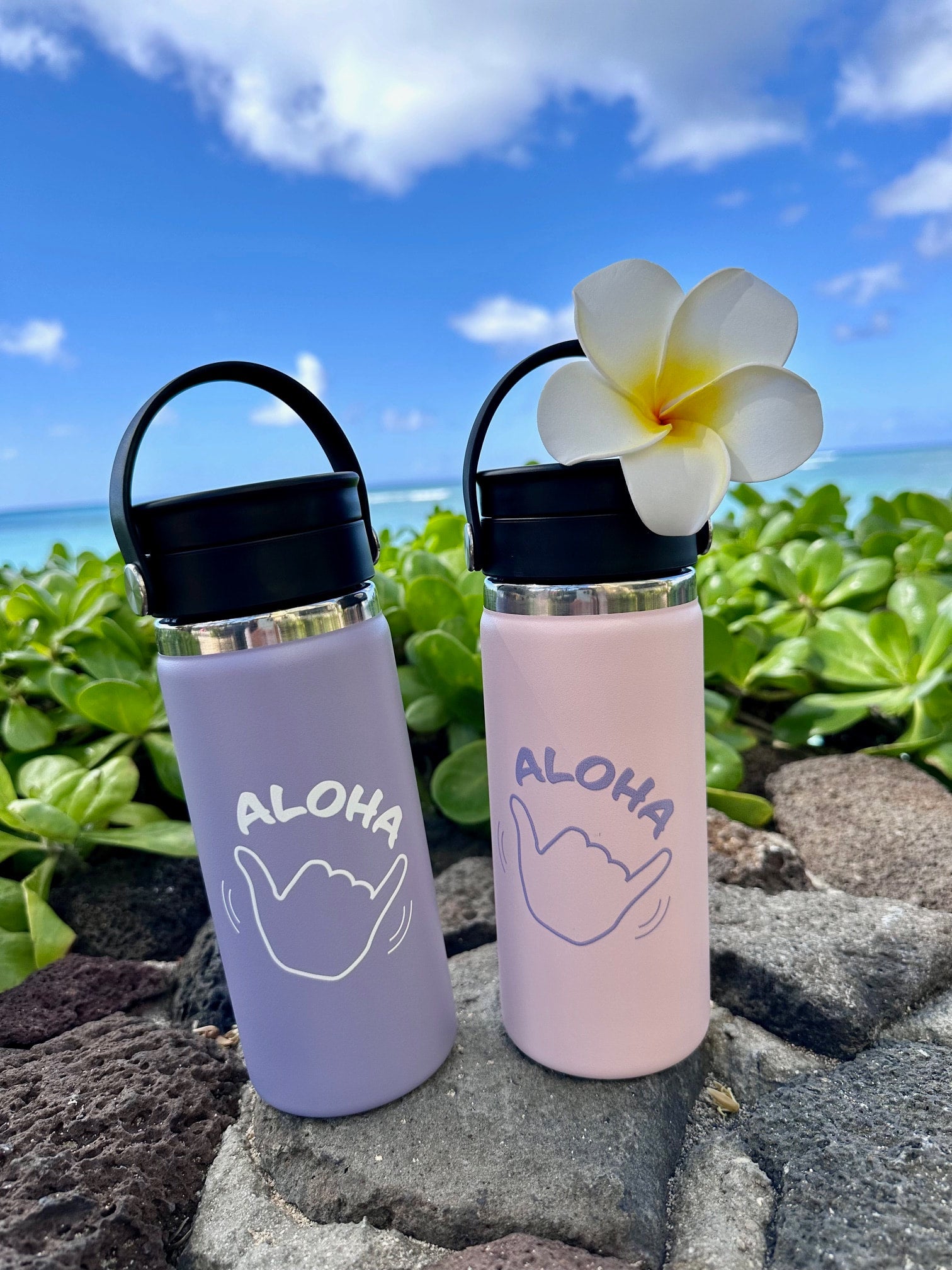 LeaLeaハワイ限定】16オンス『Shaka Aloha』デザインハイドロ