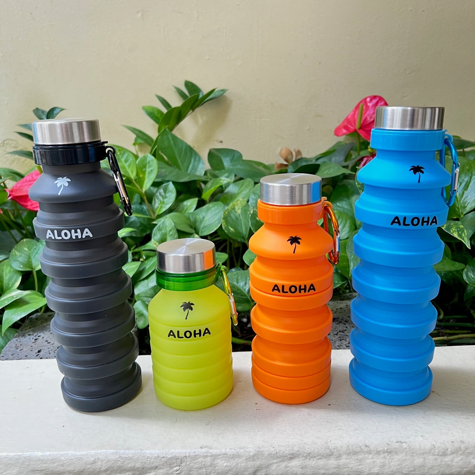 LeaLea Original) Hawaii Motivational Water Bottle【LeaLea限定